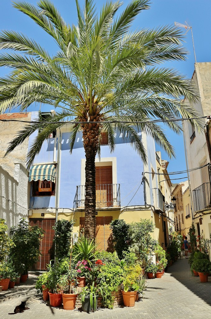 Foto: Vista del pueblo - Ojos (Murcia), España