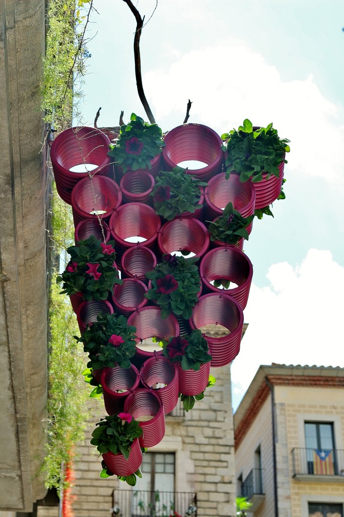 Foto: Tiempo de flores - Girona (Cataluña), España