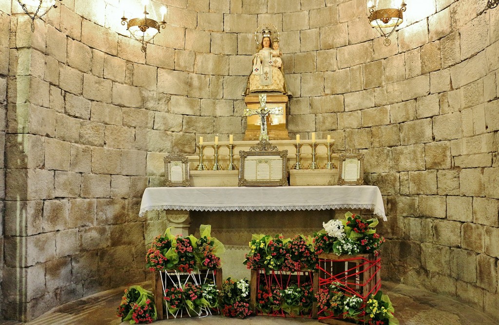 Foto: Tiempo de flores - Girona (Cataluña), España