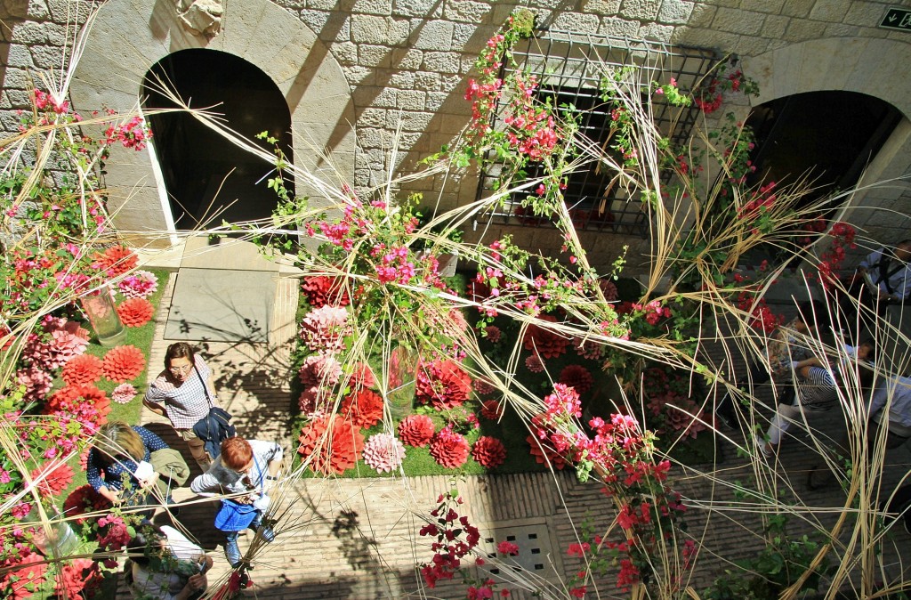 Foto: Tiempo de flores - Girona (Cataluña), España
