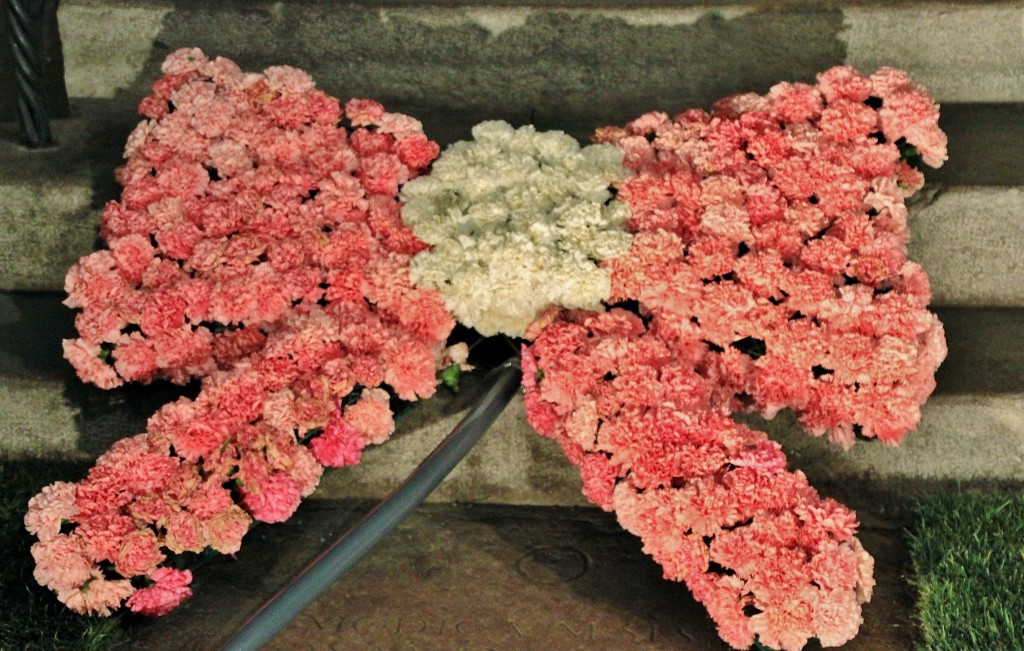 Foto: Tiempo de flores - Girona (Cataluña), España