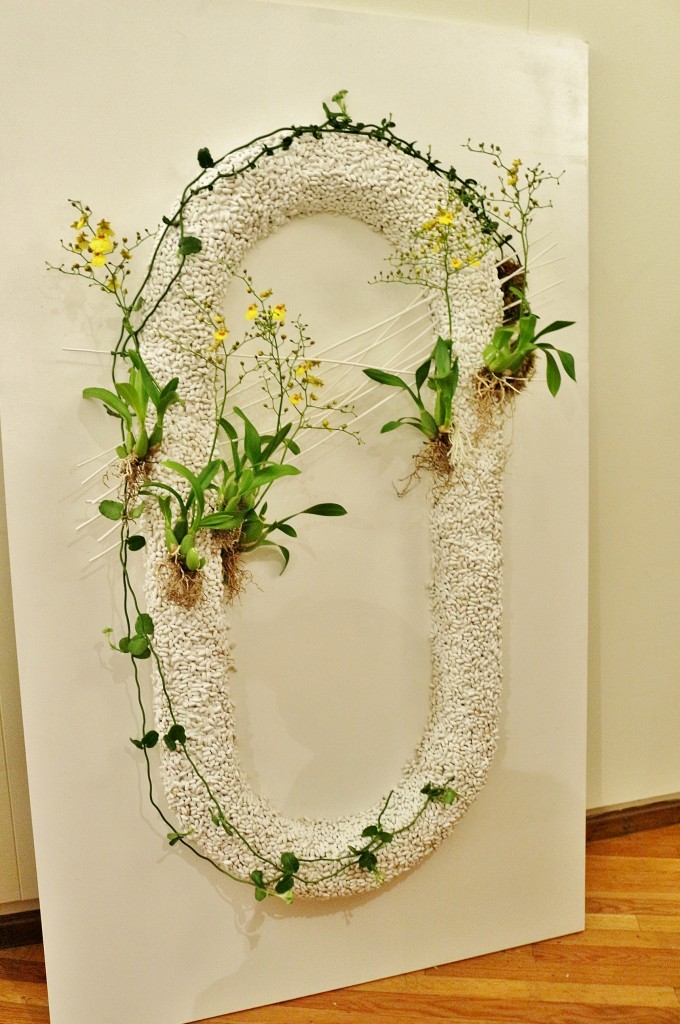 Foto: Tiempo de flores - Girona (Cataluña), España