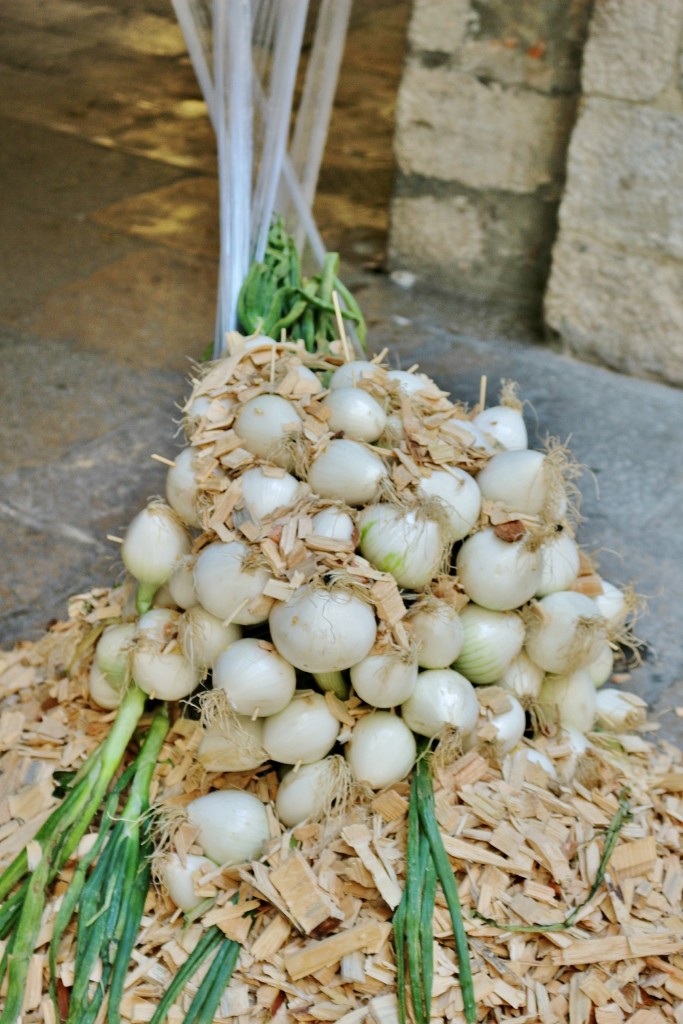 Foto: Tiempo de flores - Girona (Cataluña), España