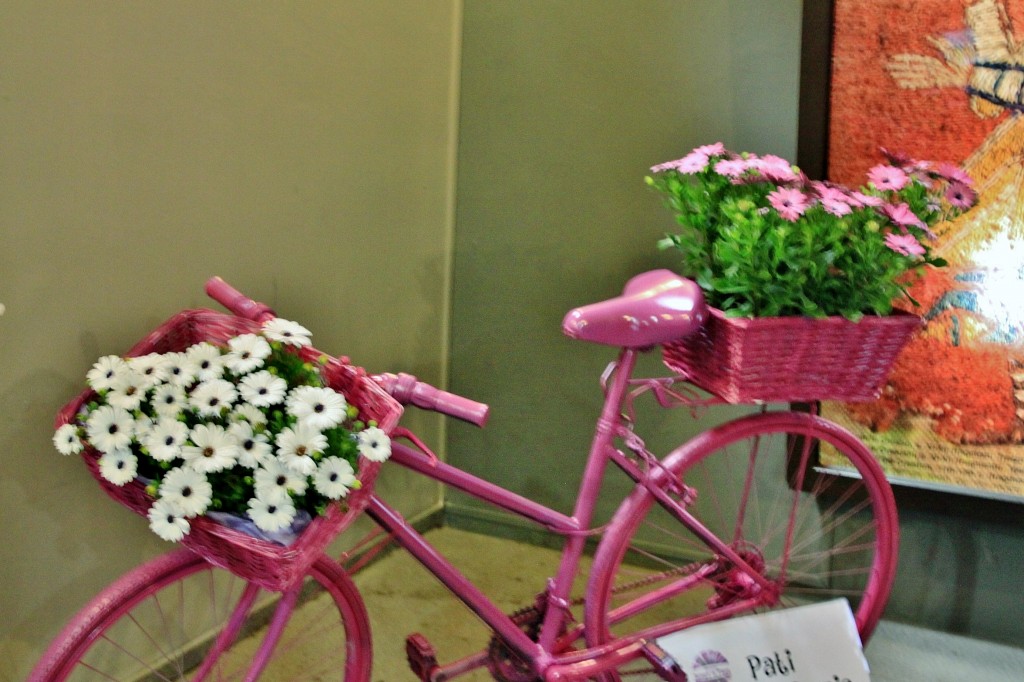 Foto: Tiempo de flores - Girona (Cataluña), España