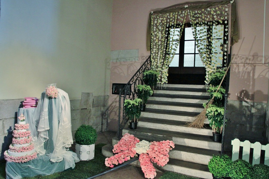 Foto: Tiempo de flores - Girona (Cataluña), España