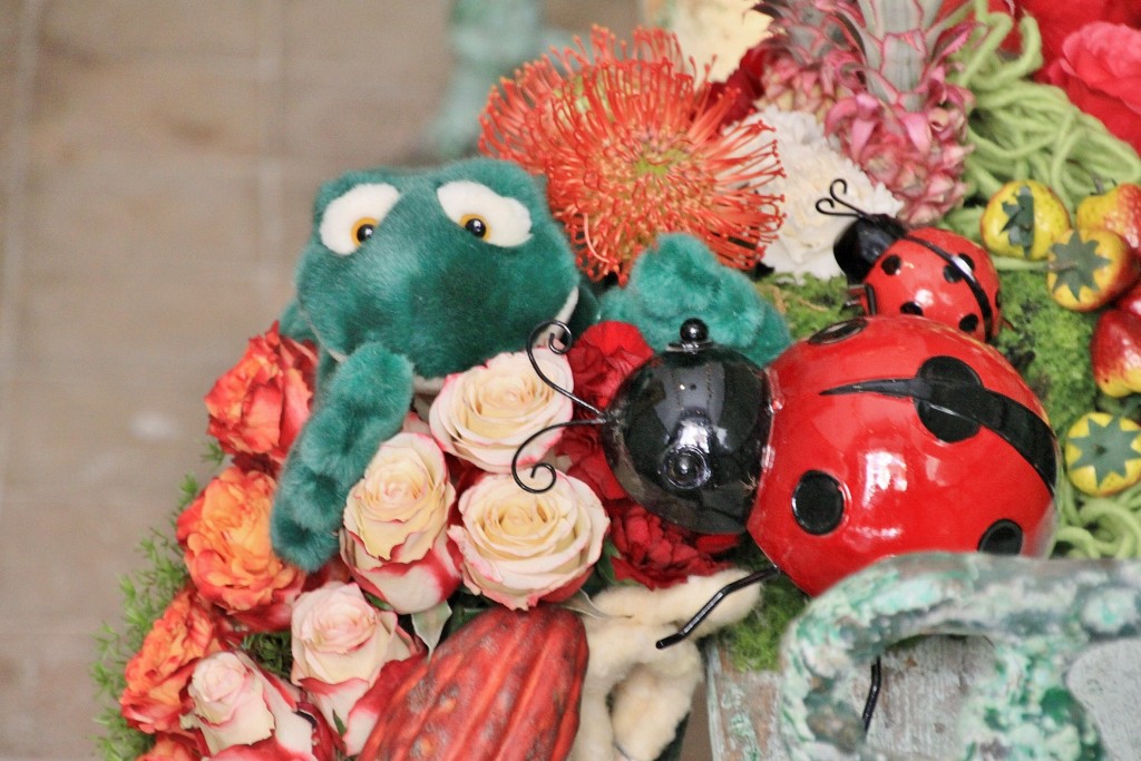 Foto: Tiempo de flores - Girona (Cataluña), España