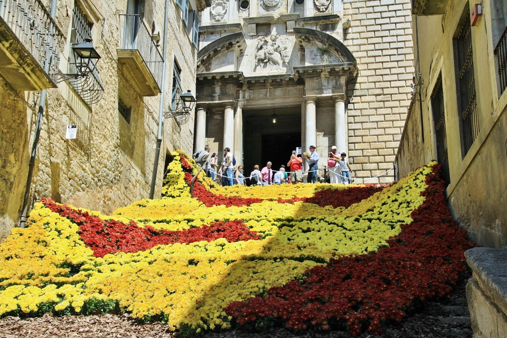 Foto: Tiempo de flores - Girona (Cataluña), España