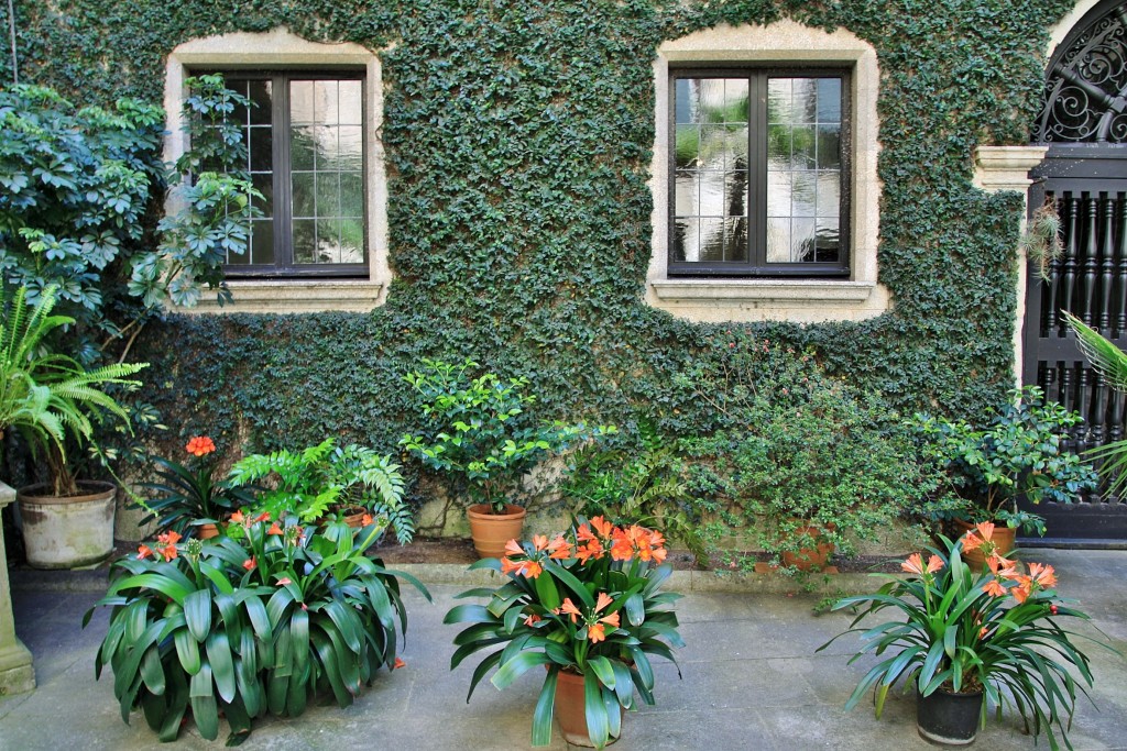 Foto: Tiempo de flores - Girona (Cataluña), España