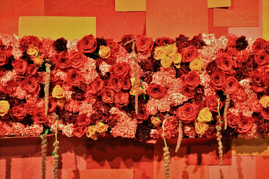 Foto: Tiempo de flores - Girona (Cataluña), España