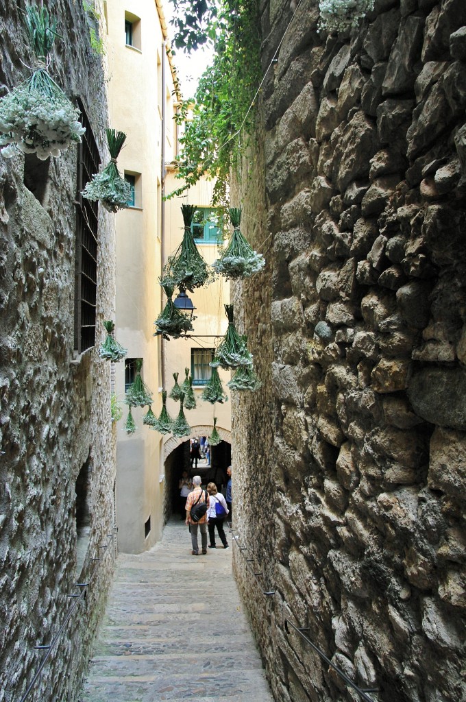 Foto: Tiempo de flores - Girona (Cataluña), España