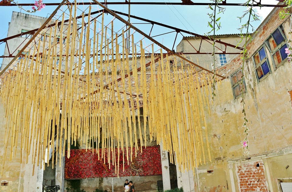 Foto: Tiempo de flores - Girona (Cataluña), España