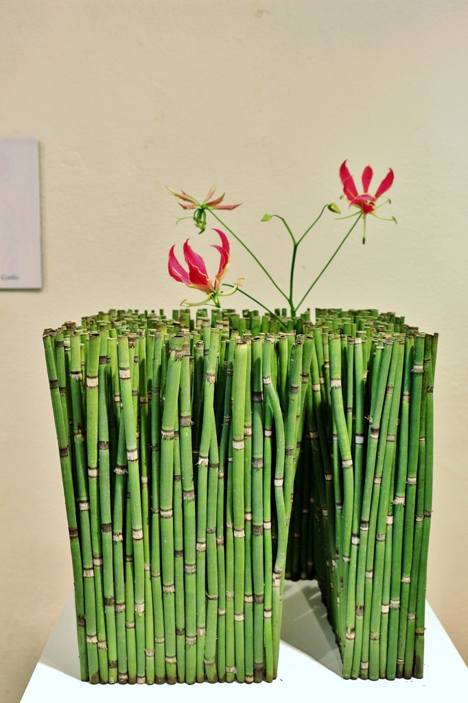 Foto: Tiempo de flores - Girona (Cataluña), España