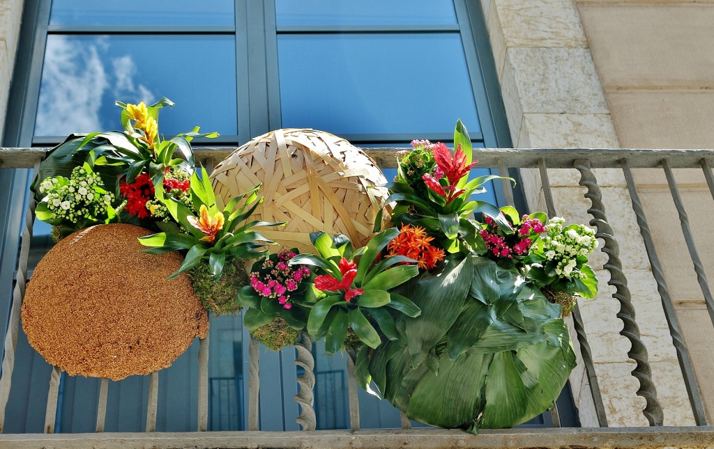 Foto: Tiempo de flores - Girona (Cataluña), España