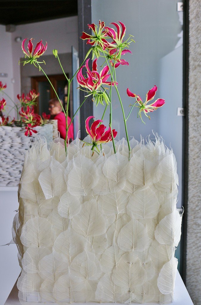 Foto: Tiempo de flores - Girona (Cataluña), España