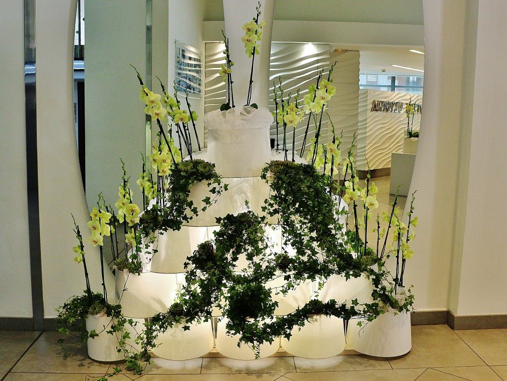 Foto: Tiempo de flores - Girona (Cataluña), España