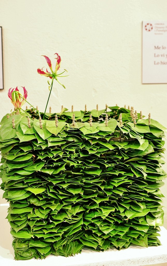 Foto: Tiempo de flores - Girona (Cataluña), España