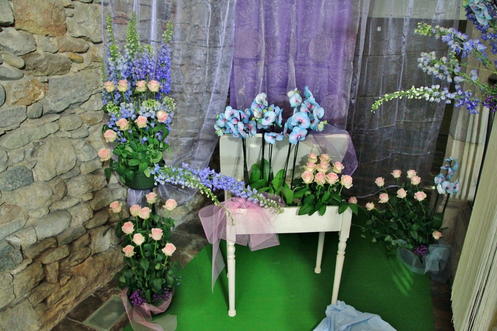 Foto: Tiempo de flores - Girona (Cataluña), España