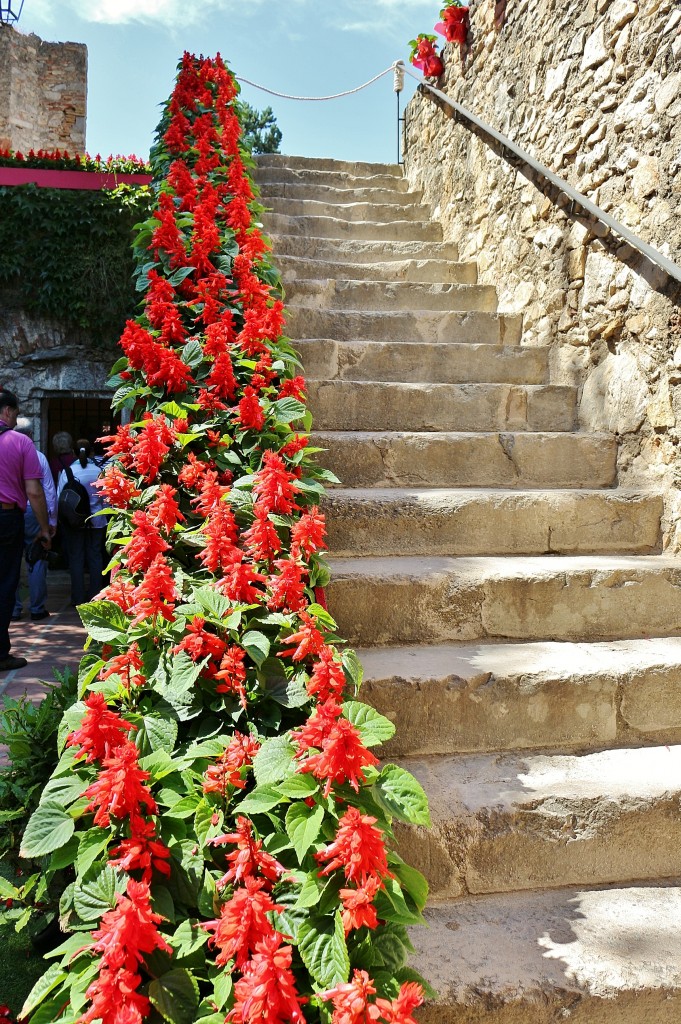 Foto: Tiempo de flores - Girona (Cataluña), España