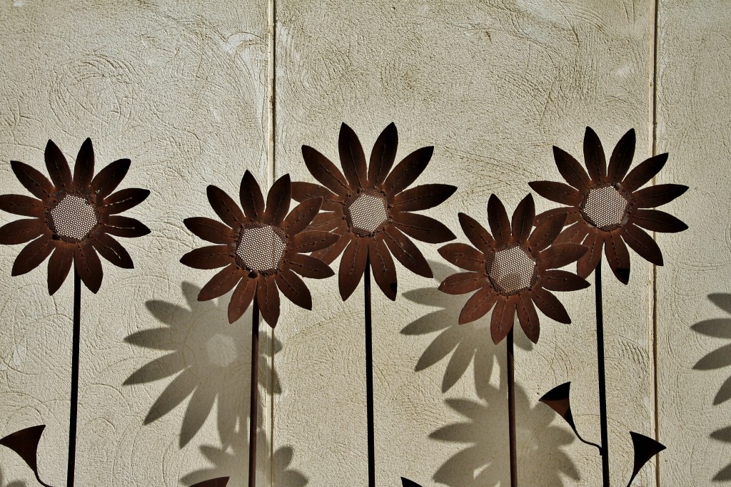 Foto: Museo arqueológico - Alhama de Murcia (Murcia), España