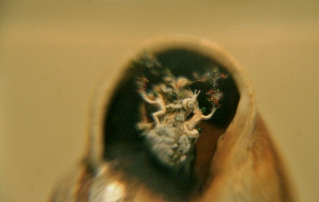 Foto: Museo de microminiaturas - Castell de Guadalest (Alicante), España