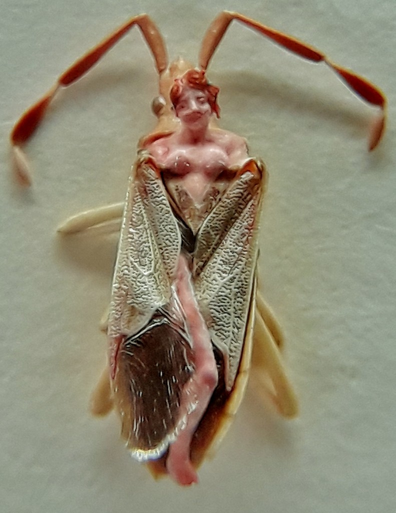 Foto: Museo de microminiaturas - Castell de Guadalest (Alicante), España