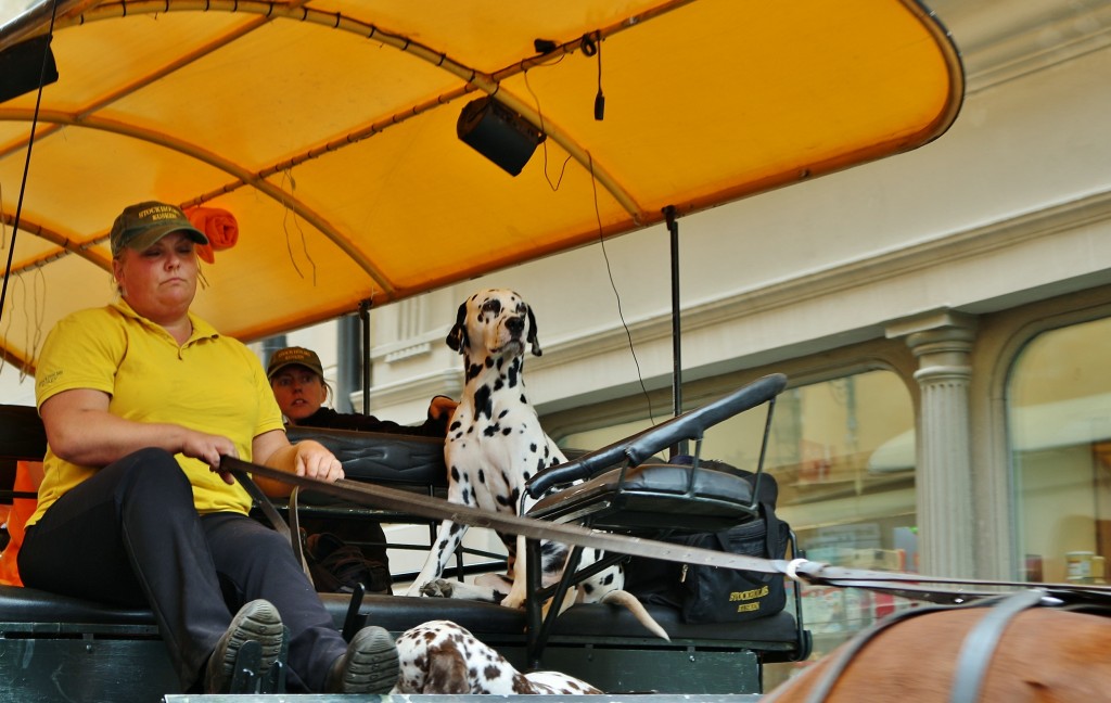 Foto: Centro histórico - Stockholm, Suecia