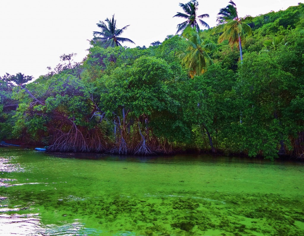 Foto: Caño Frío - Playa Rincón (Samaná), República Dominicana