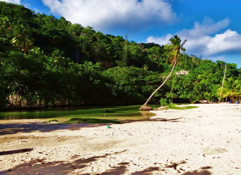 Foto: Caño Frío - Playa Rincón (Samaná), República Dominicana