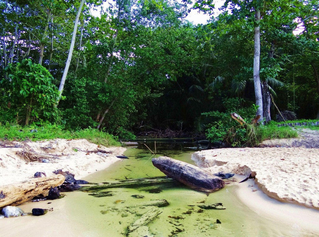 Foto: Playa Rincón - Playa Rincón (Samaná), República Dominicana