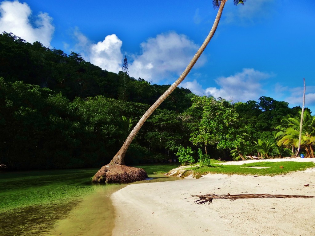 Foto: Caño Frío - Playa Rincón (Samaná), República Dominicana