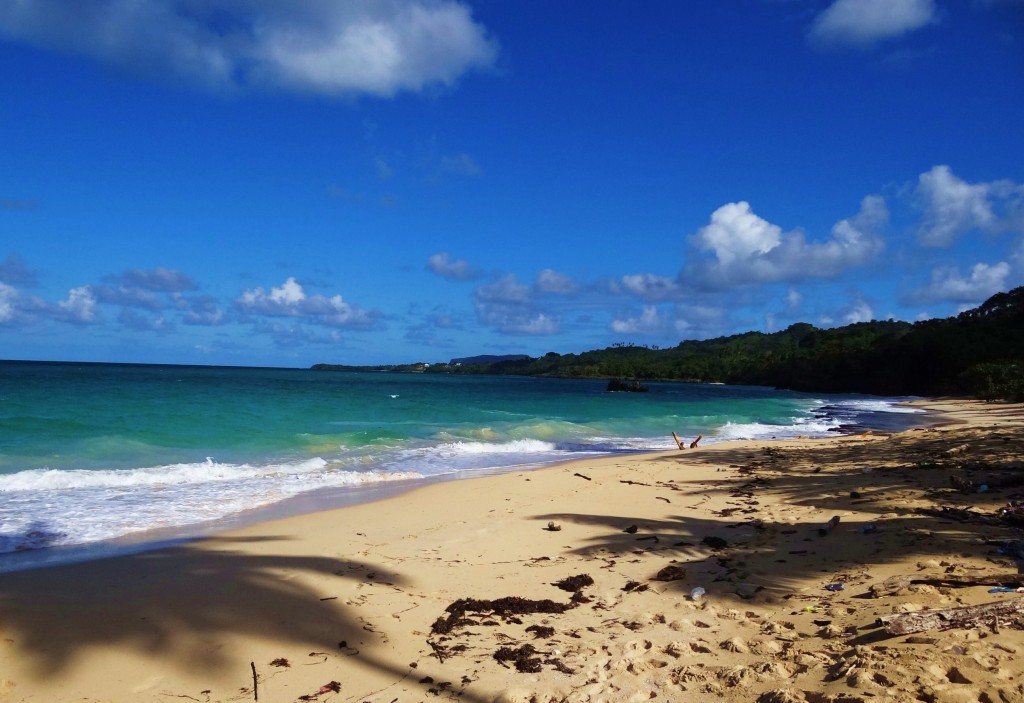 Foto: Playa Rincón - Playa Rincón (Samaná), República Dominicana