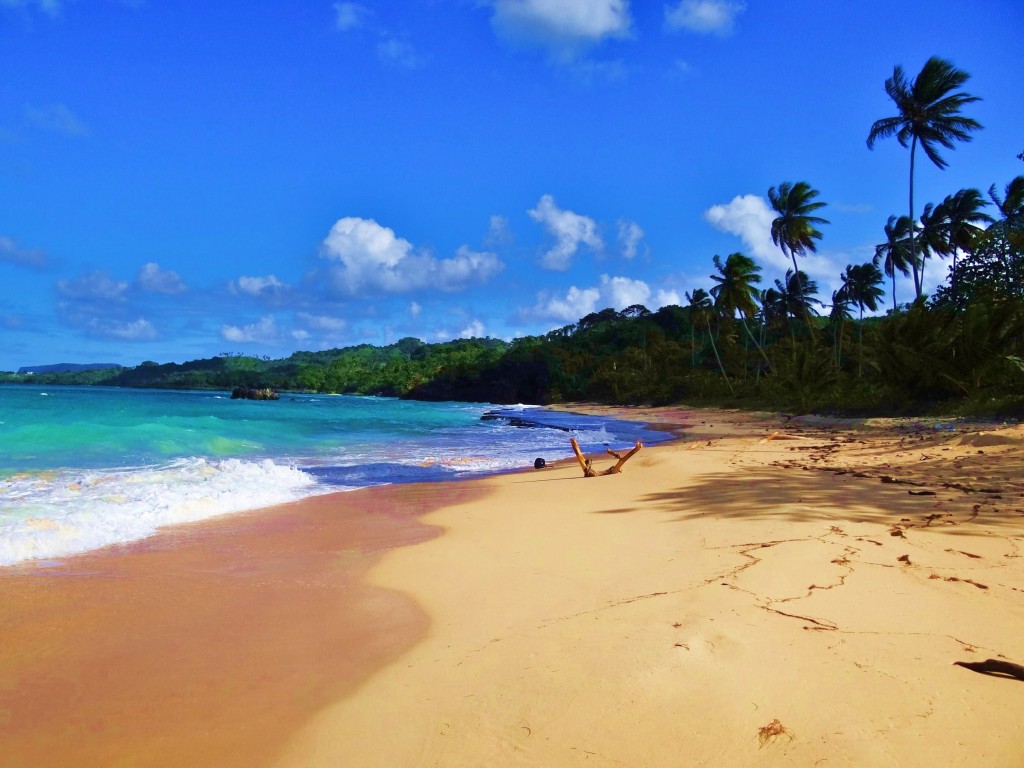 Foto: Playa Rincón - Playa Rincón (Samaná), República Dominicana