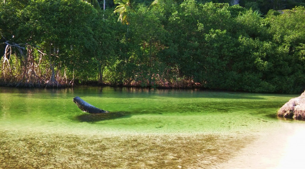 Foto: Caño Frío - Playa Rincón (Samaná), República Dominicana