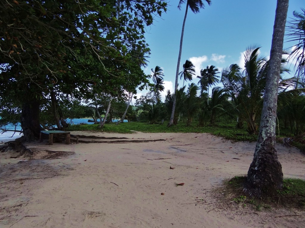 Foto: Playa Rincón - Playa Rincón (Samaná), República Dominicana