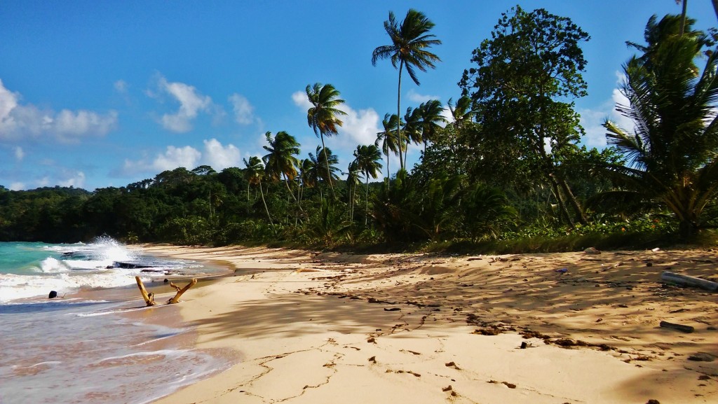 Foto: Playa Rincón - Playa Rincón (Samaná), República Dominicana