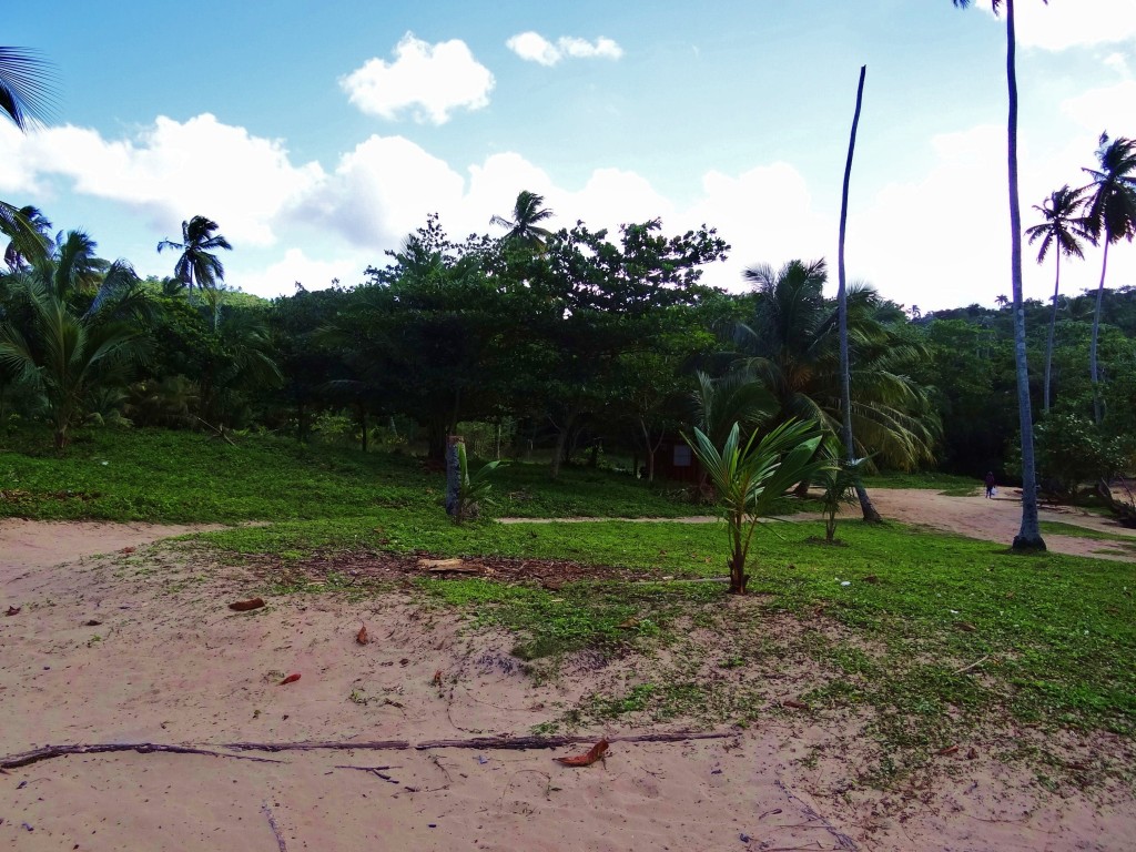 Foto: Playa Rincón - Playa Rincón (Samaná), República Dominicana