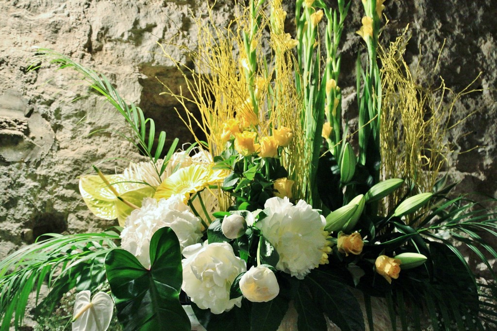 Foto: Tiempo de flores - Girona (Cataluña), España