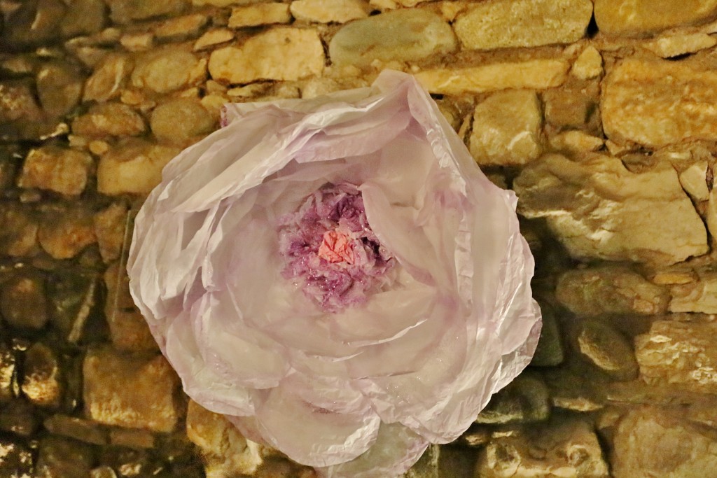 Foto: Tiempo de flores - Girona (Cataluña), España