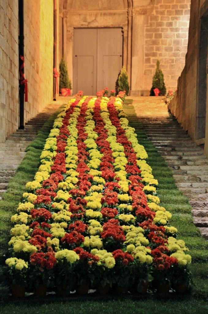 Foto: Tiempo de flores - Girona (Cataluña), España
