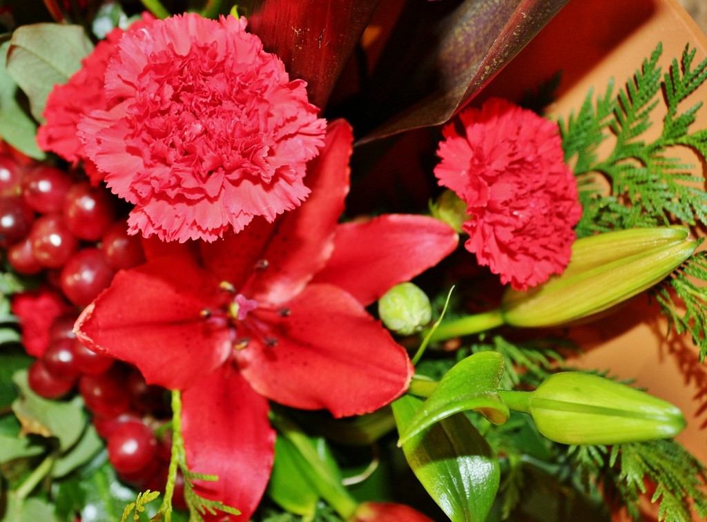 Foto: Tiempo de flores - Girona (Cataluña), España