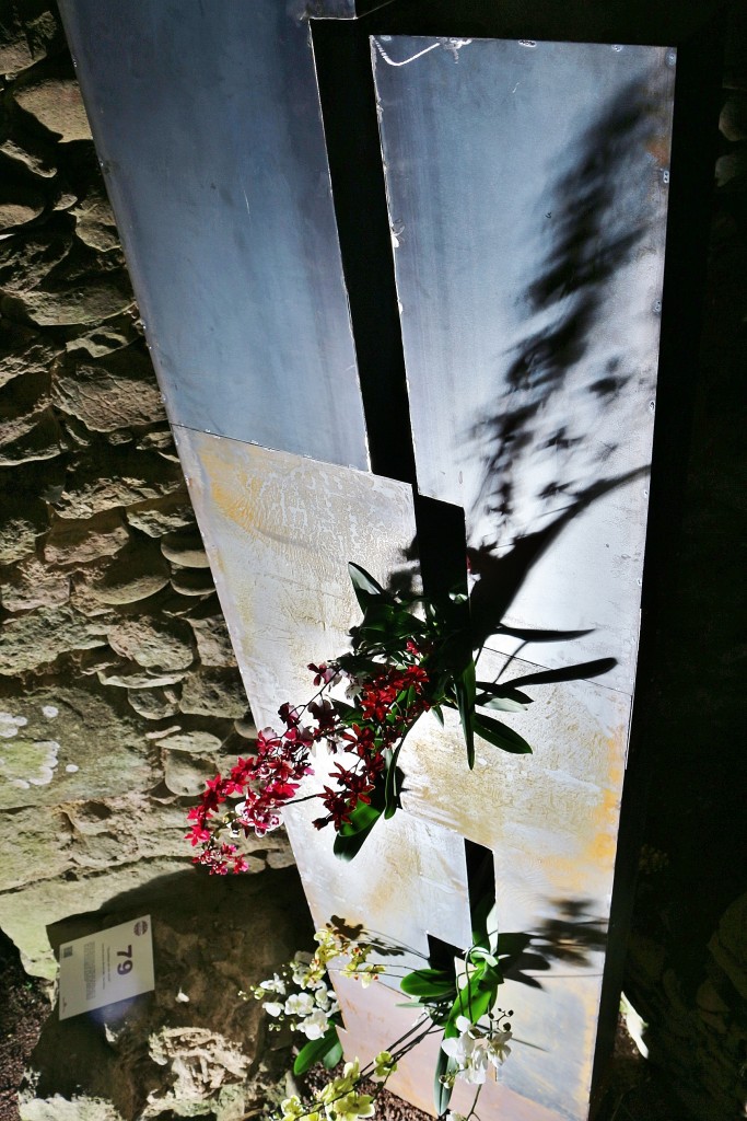 Foto: Tiempo de flores - Girona (Cataluña), España