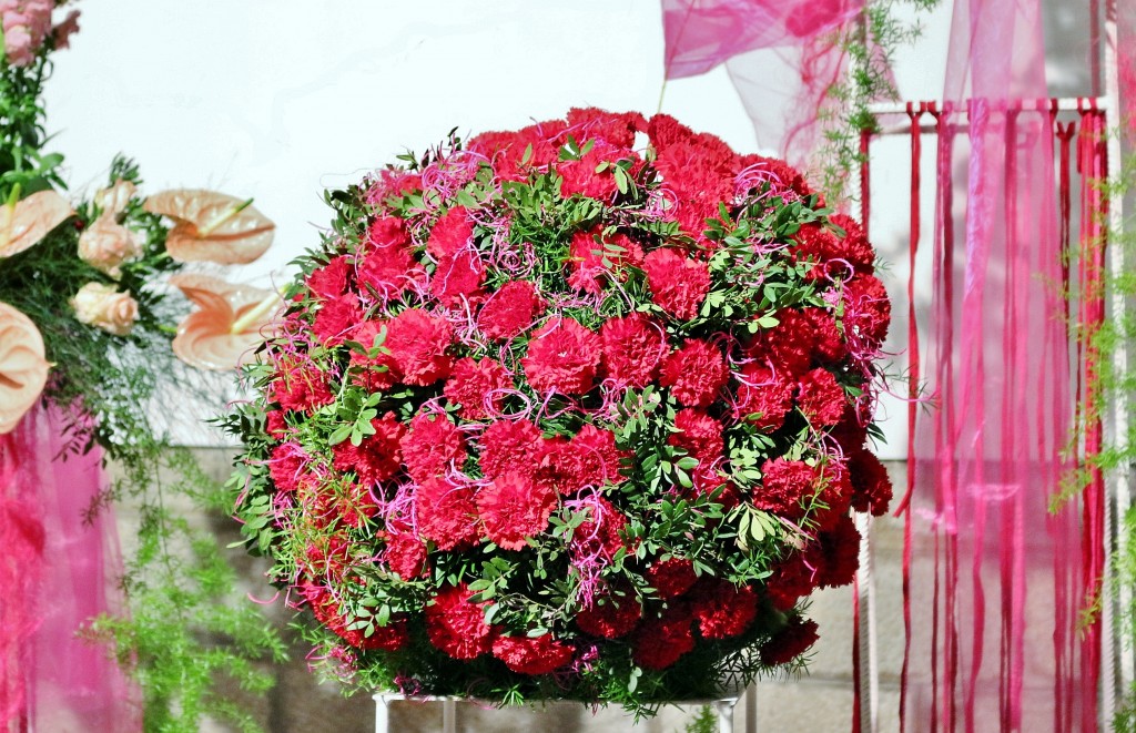 Foto: Tiempo de flores - Girona (Cataluña), España