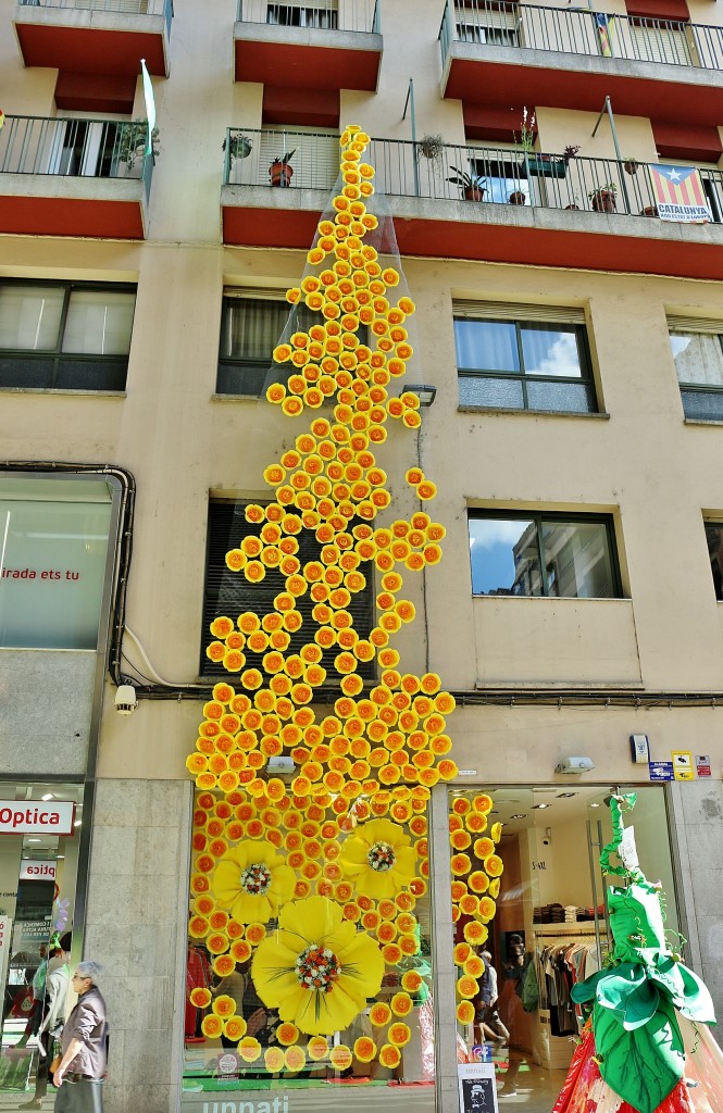 Foto: Tiempo de flores - Girona (Cataluña), España