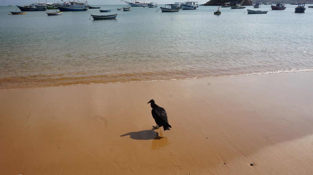Foto: Buzios - Buzios (Rio de Janeiro), Brasil