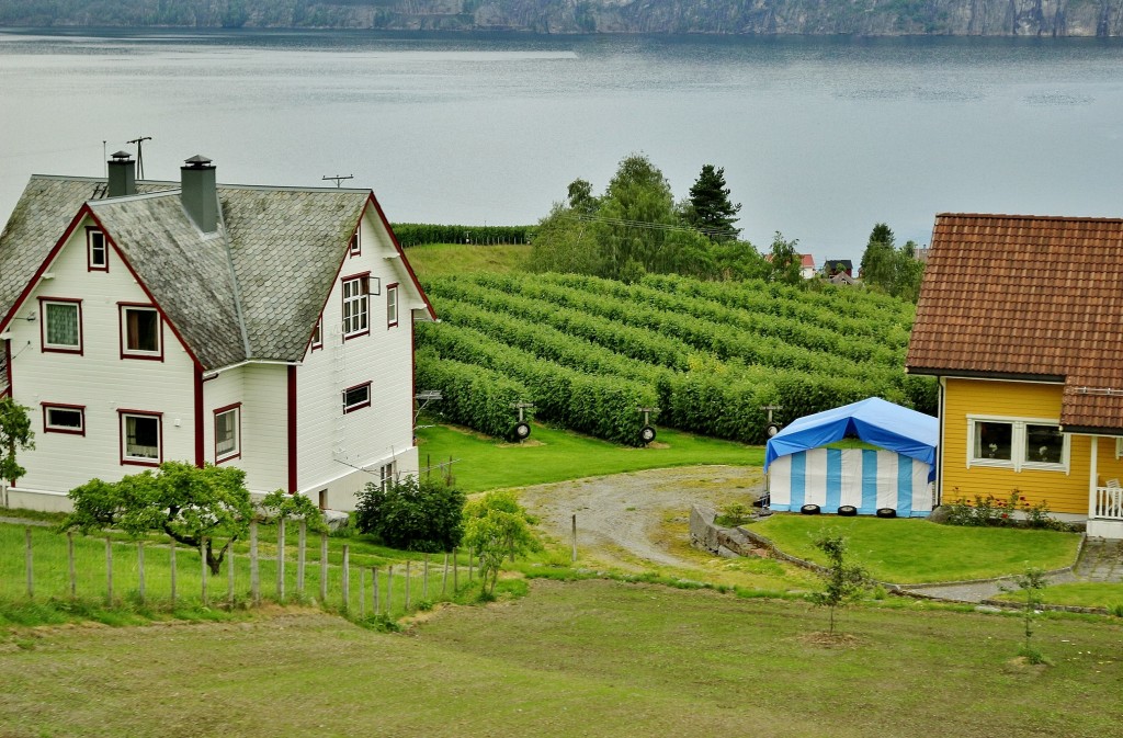 Foto: Paisaje - Fjaerland, Noruega