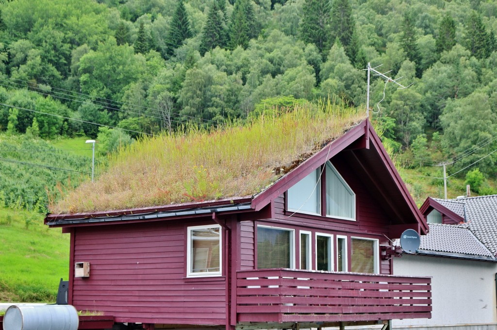 Foto: Fiordo de Sogn - Sogndal, Noruega