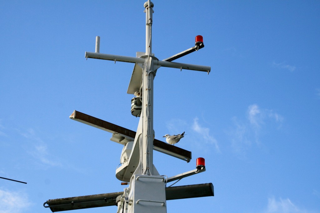 Foto: Navegando - Flam (Sogn og Fjordane), Noruega