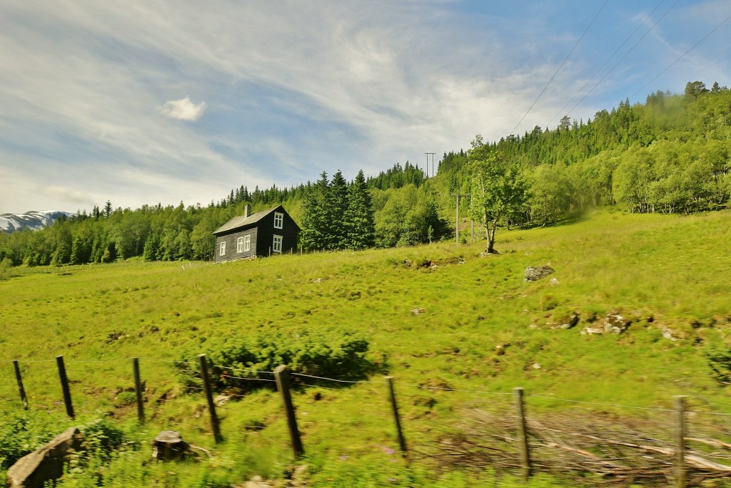 Foto: Tren turístico - Flam (Sogn og Fjordane), Noruega