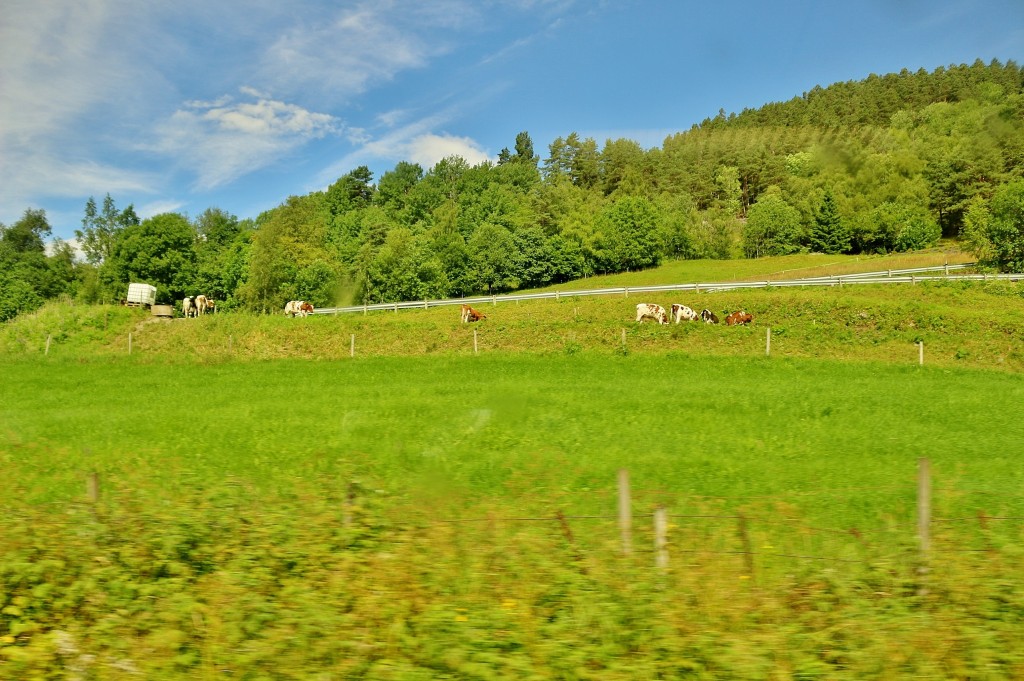 Foto: Tren turístico - Flam (Sogn og Fjordane), Noruega