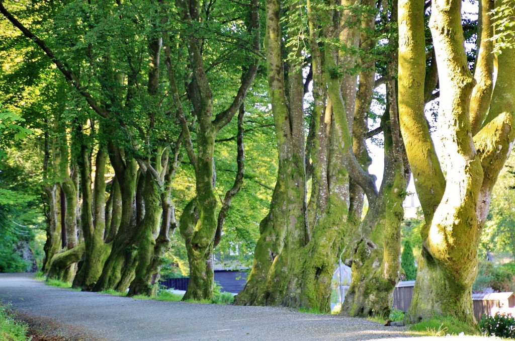 Foto: Casa museo Edvard Grieg - Bergen (Hordaland), Noruega